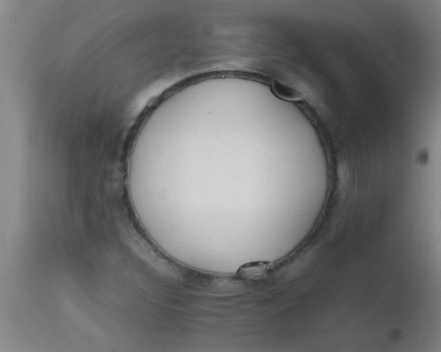 X0000112531308200909071348