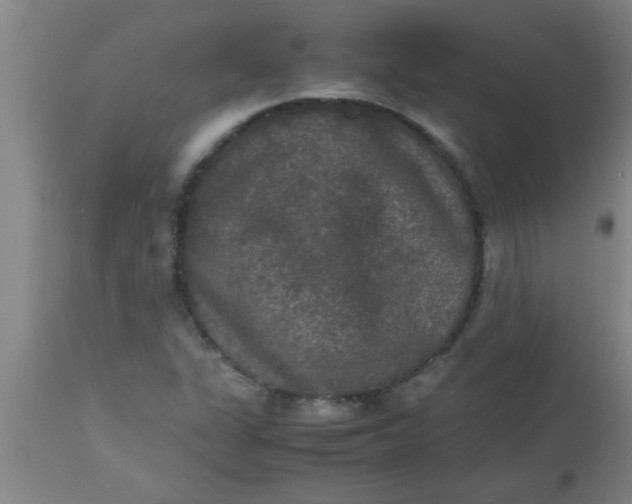 X0000112531311200909071348