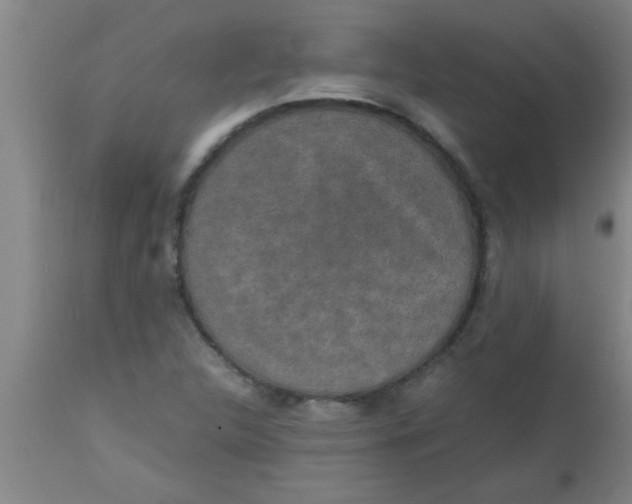 X0000112531312200909071348