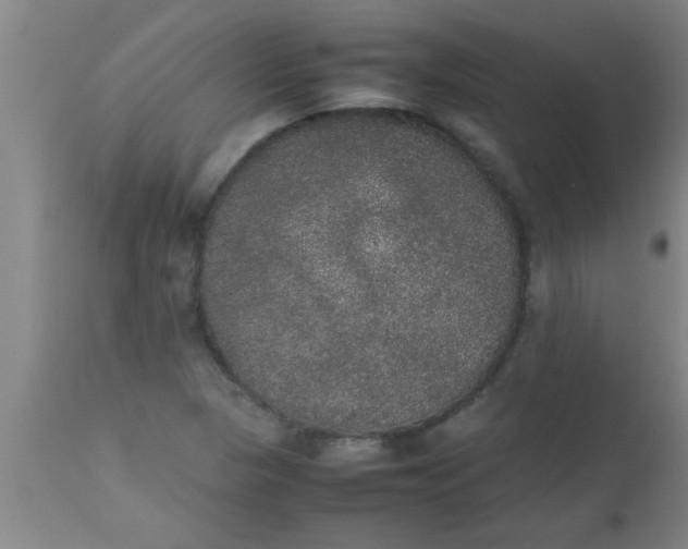 X0000112531313200909071348