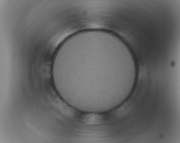 X0000112531314200909071348