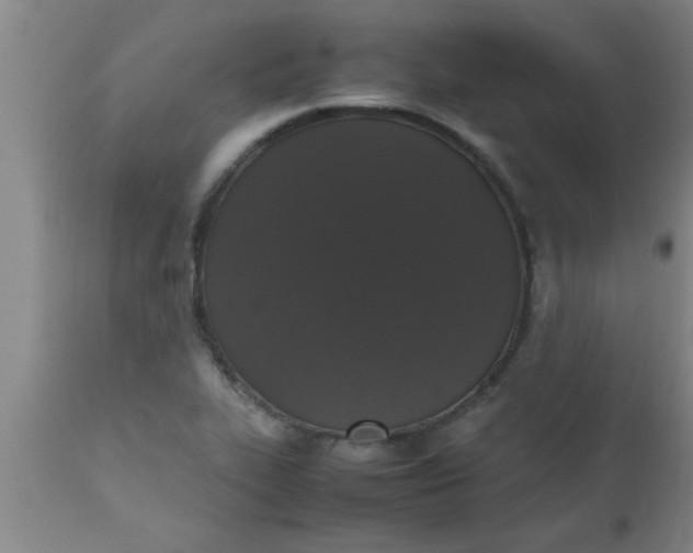 X0000112531319200909071348