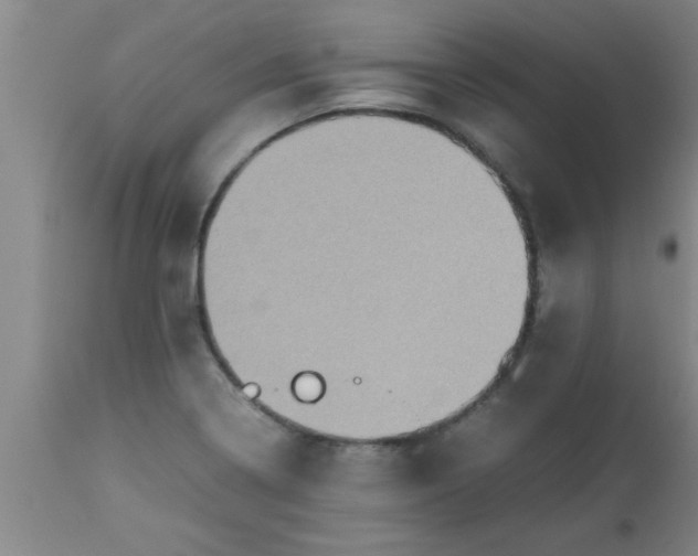X0000112531322200909071348