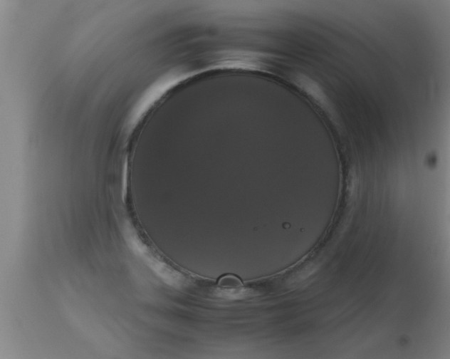 X0000112531323200909071348