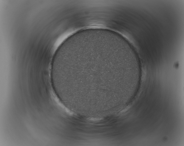 X0000112531325200909071348