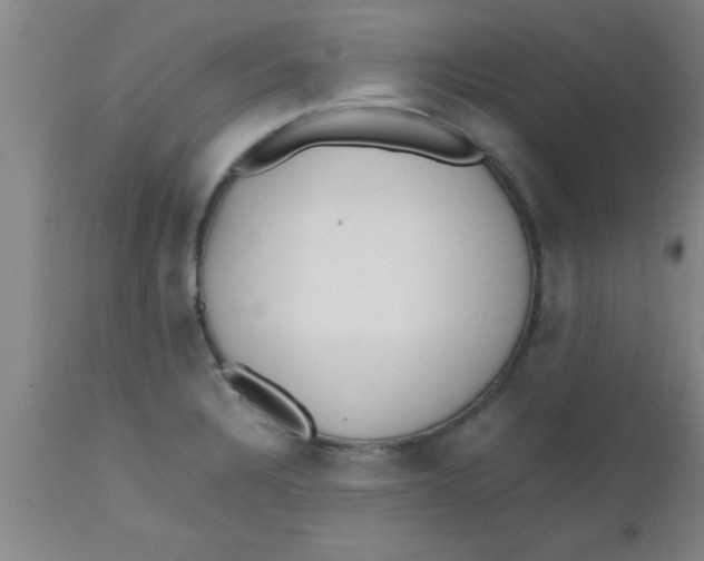 X0000112531328200909071348