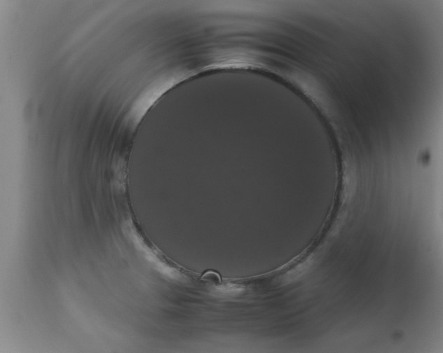 X0000112531329200909071348