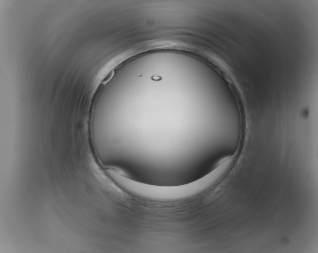 X0000112531330200909071348