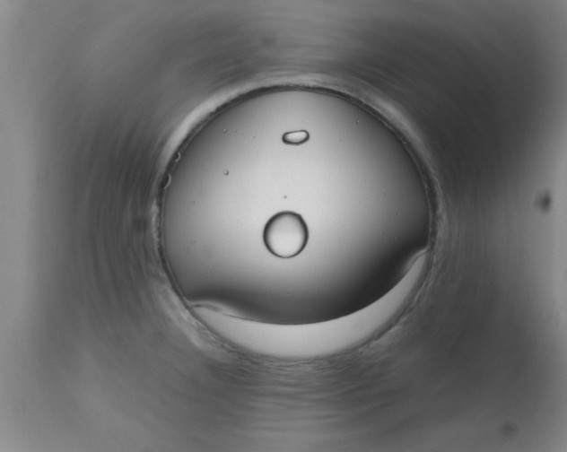 X0000112531332200909071348