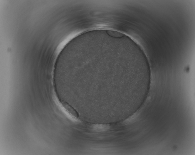 X0000112531333200909071348