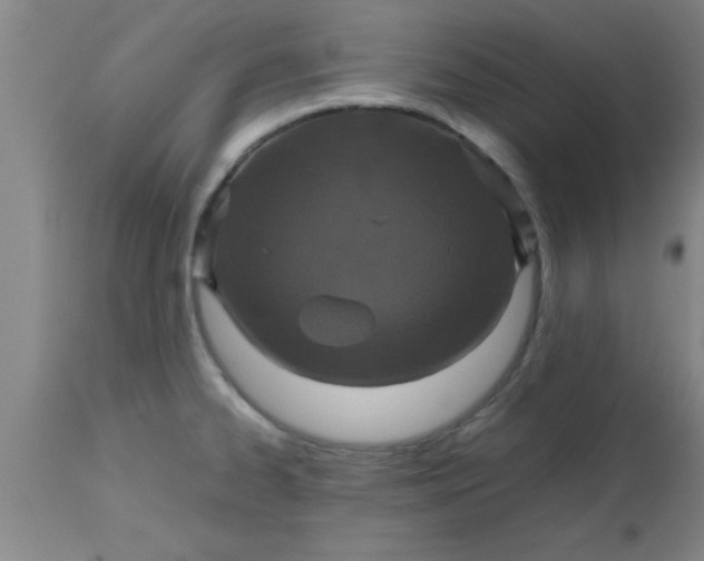 X0000112531334200909071348