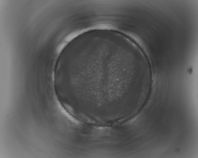 X0000112531335200909071348
