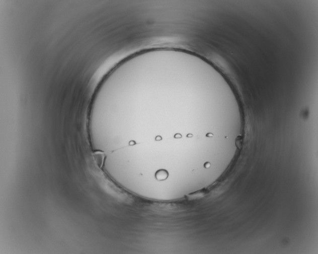 X0000112531336200909071348
