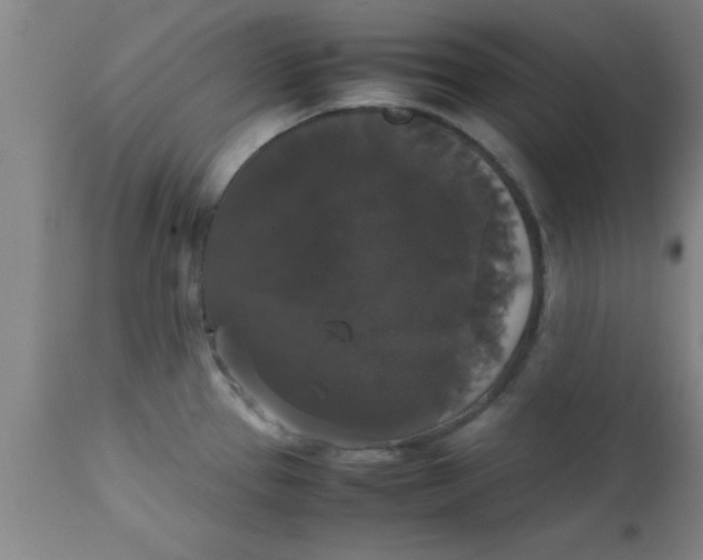 X0000112531337200909071348