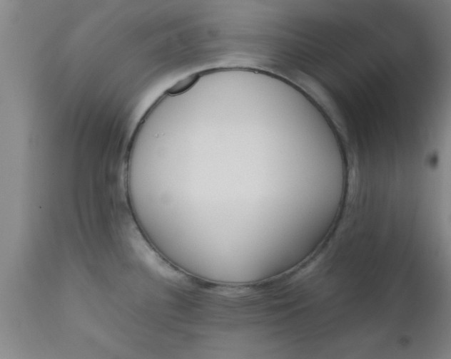X0000112531340200909071348