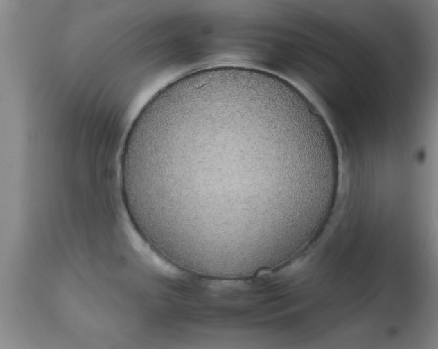 X0000112531341200909071348