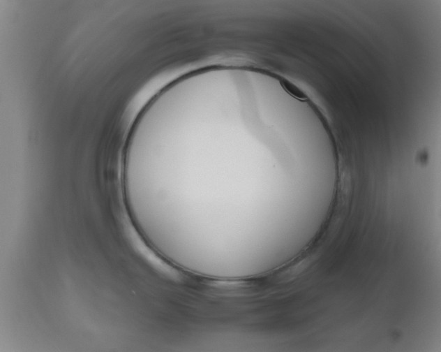 X0000112531343200909071348