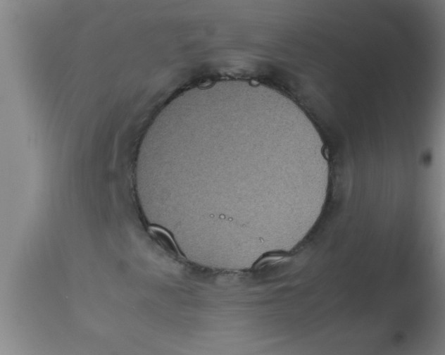 X0000112531345200909071348