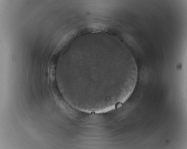 X0000112531346200909071348