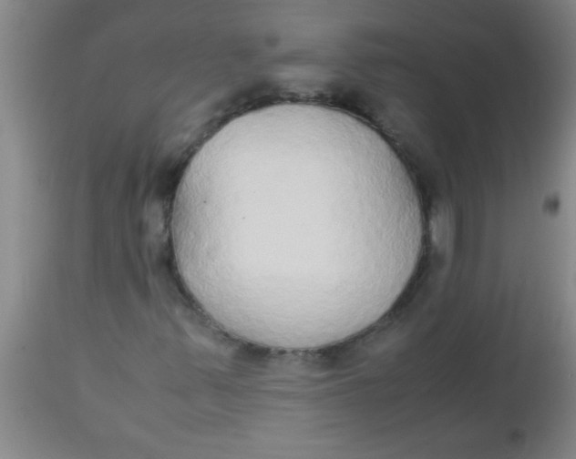 X0000112531347200909071348