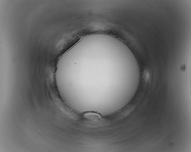 X0000112531348200909071348