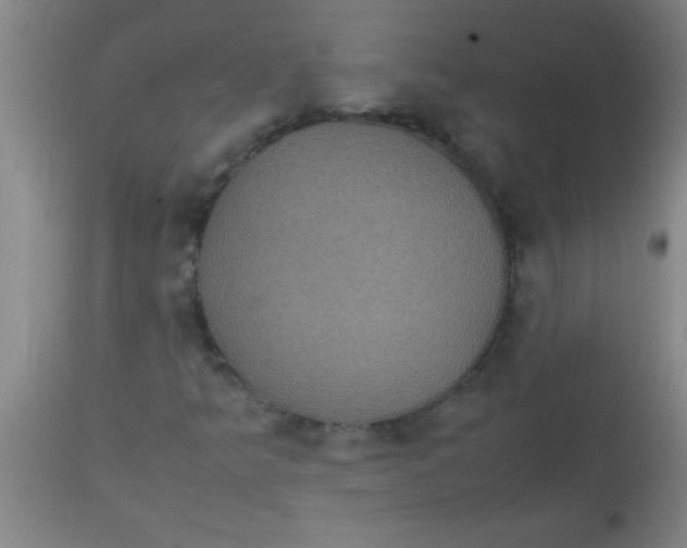 X0000112531349200909071348