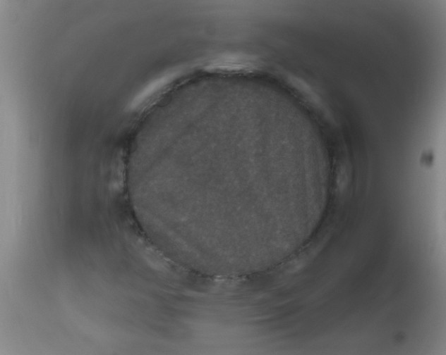 X0000112531350200909071348