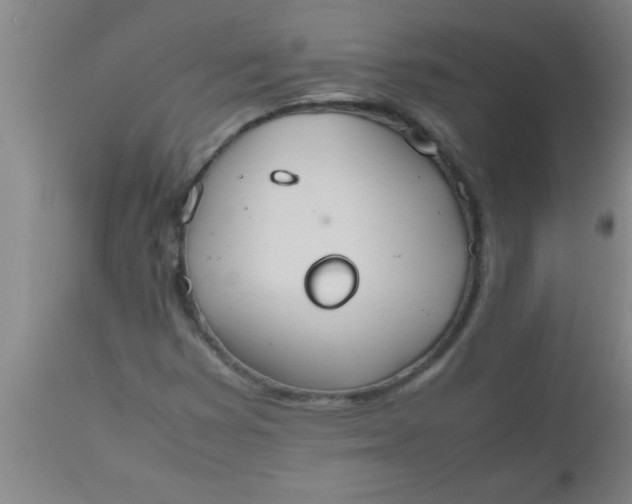 X0000112531353200909071348
