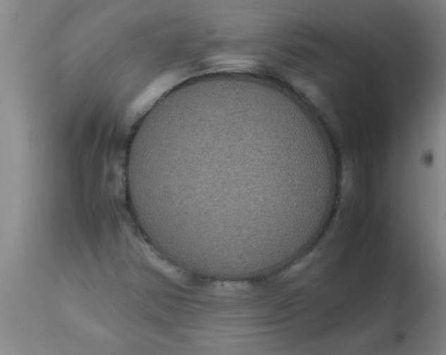 X0000112531354200909071348