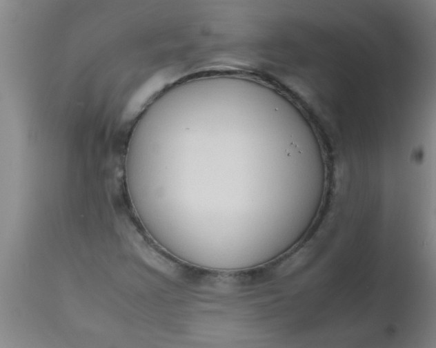 X0000112531355200909071348