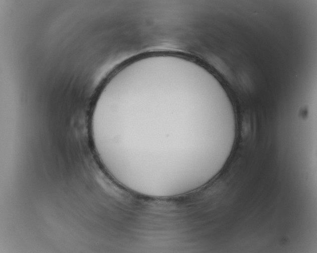 X0000112531356200909071348