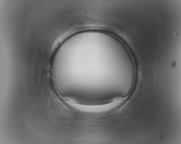 X0000112531357200909071348