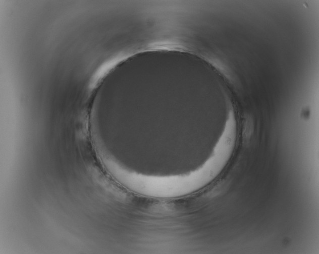 X0000112531358200909071348
