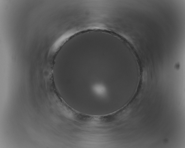 X0000112531359200909071348