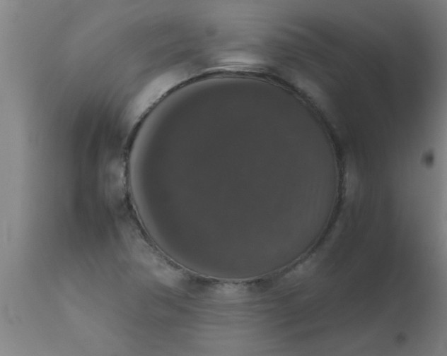 X0000112531362200909071348