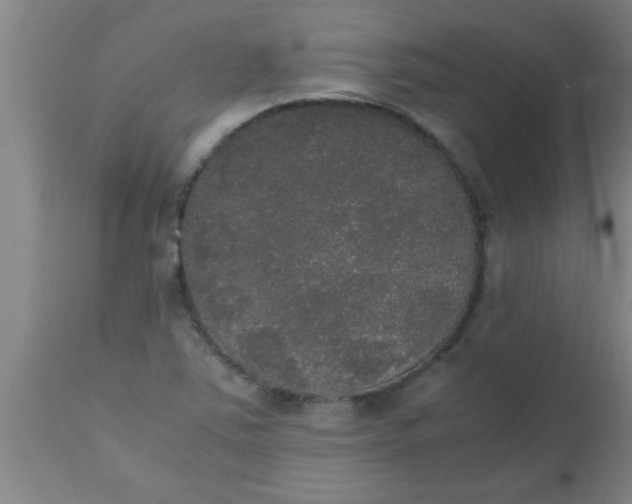 X0000112531363200909071348