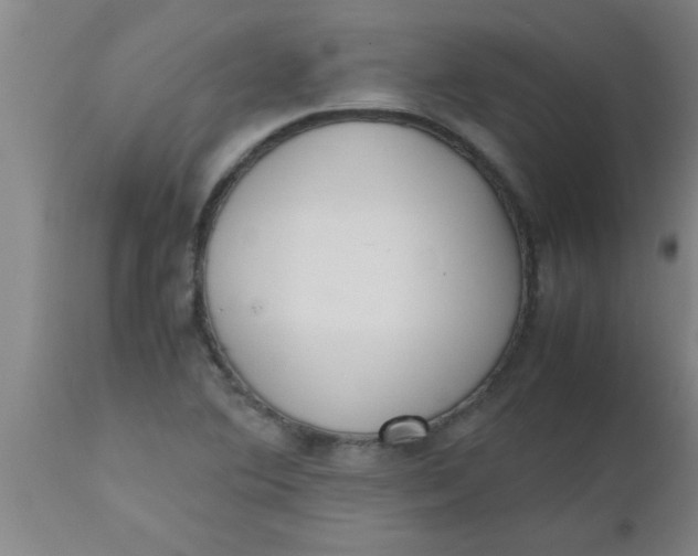 X0000112531364200909071348