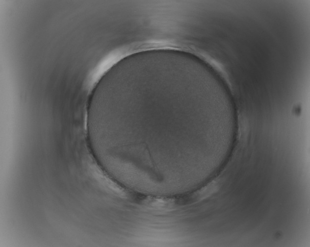 X0000112531365200909071348