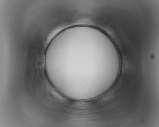 X0000112531366200909071348