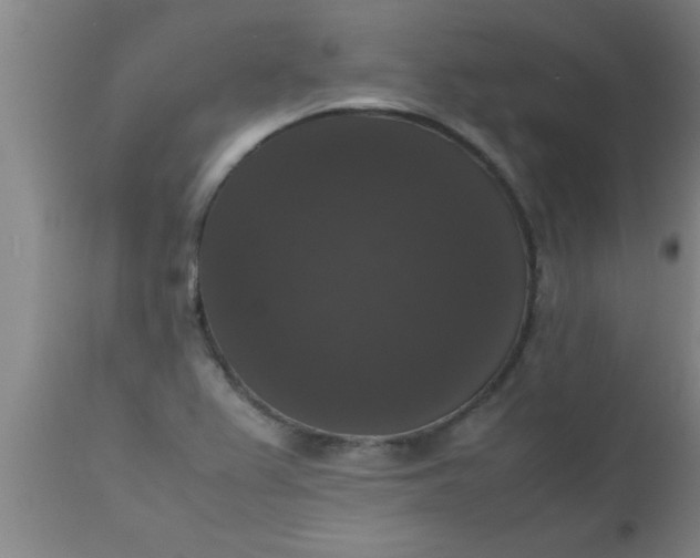 X0000112531367200909071348