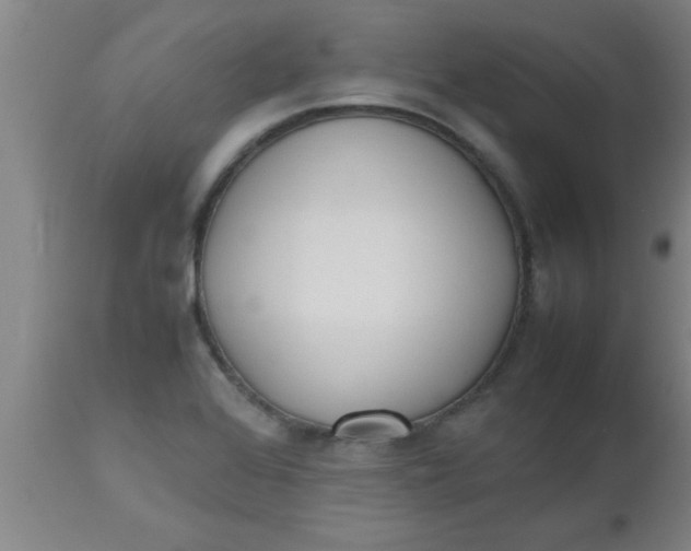 X0000112531368200909071348