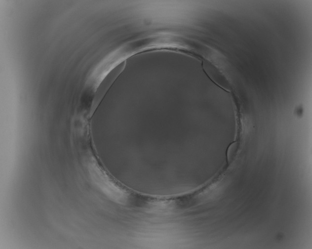 X0000112531369200909071348