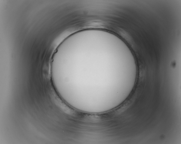 X0000112531370200909071347