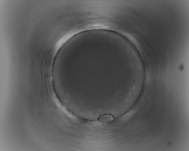 X0000112531373200909071347