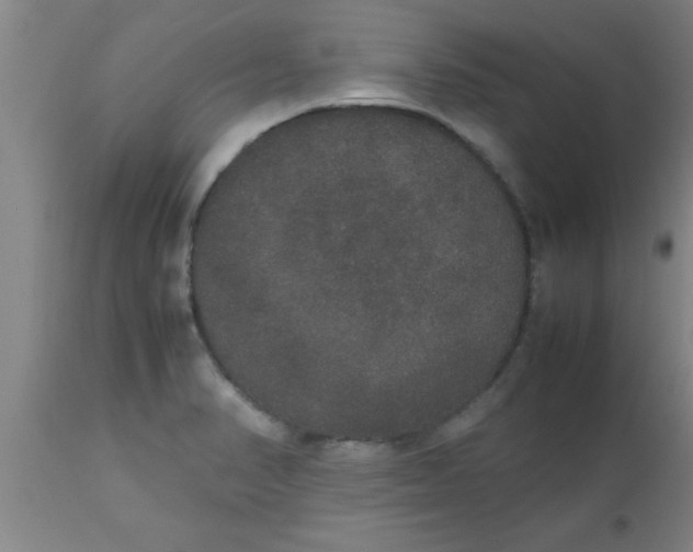 X0000112531374200909071347