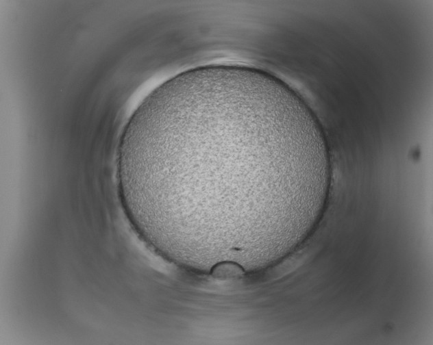 X0000112531375200909071347