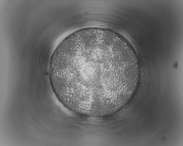 X0000112531379200909071347