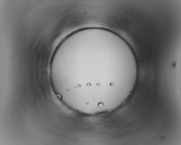 X0000112531380200909071347
