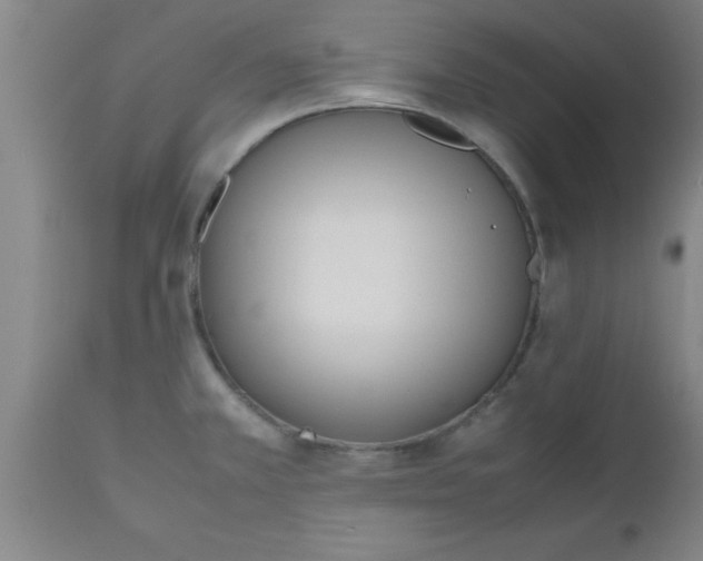 X0000112531381200909071347