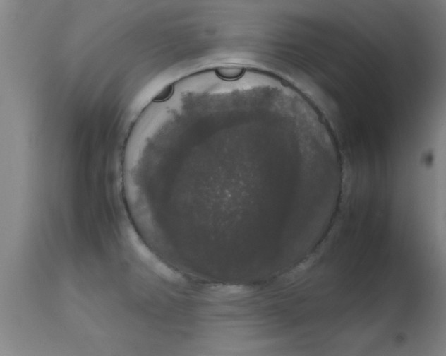X0000112531382200909071347